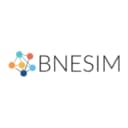 BNESIM logo