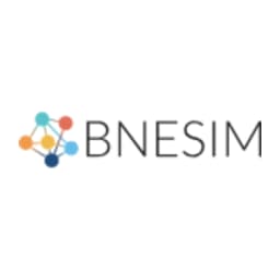 BNESIM logo