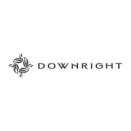 Downright logo