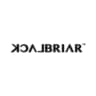 BlackBriar USA logo