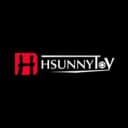 HsunnyToy  logo