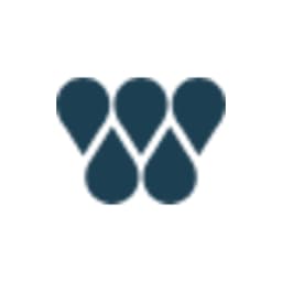 WorldSprings logo