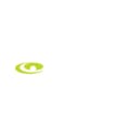 SkyGolf logo