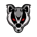 Badger Custom Grips logo